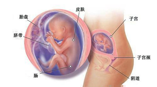 为什么宝宝会得败血症,因为妈妈的疏忽导致婴儿受伤