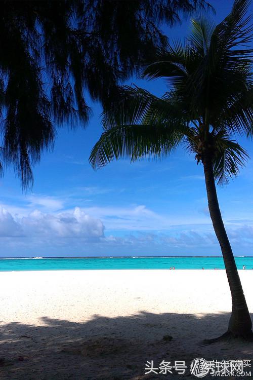 海外婚礼大概多少钱,让你轻松策划一场浪漫的海外婚礼