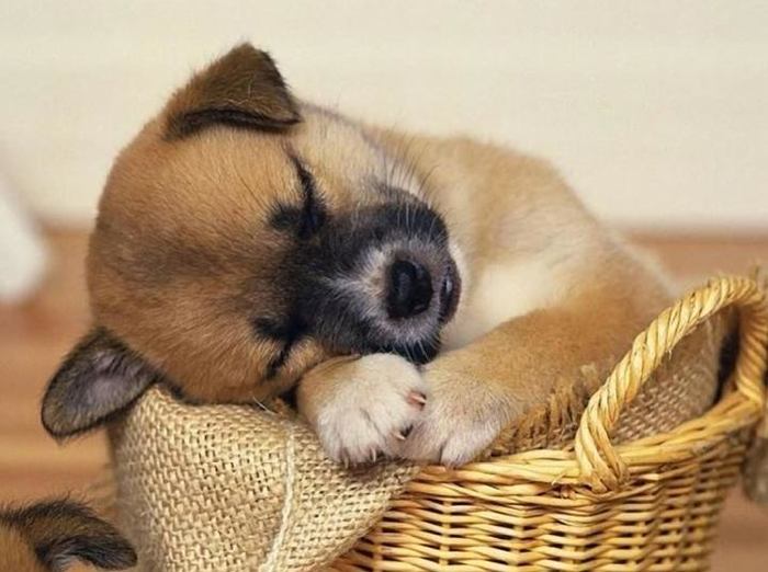 为啥荨麻疹湿疹夜间最痒,荨麻疹脱敏膏治皮肤瘙痒吗