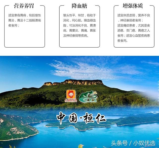 猴头菇推荐店铺,猴头菇的选购