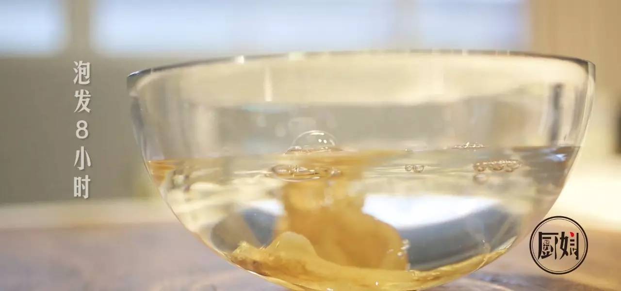 鲜炖花胶滋补养生,夏天适合炖花胶