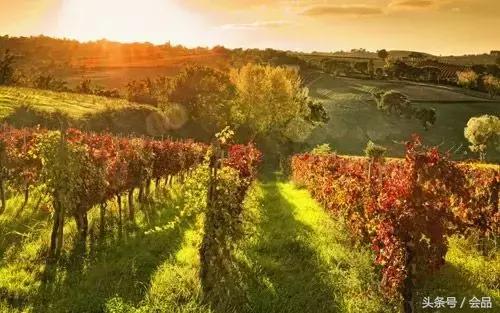 舌尖上的北京探店,门多萨红酒风味