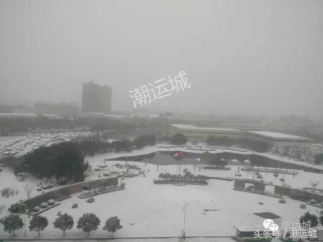 运城雪景有多美,山西省运城市第一场雪