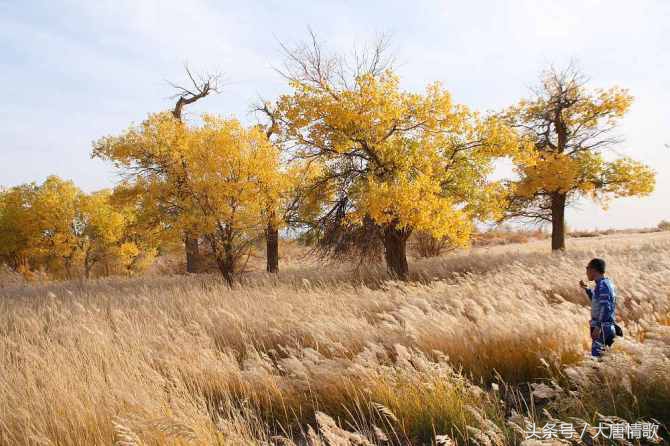 骑行日记无人区,骑行日记视频