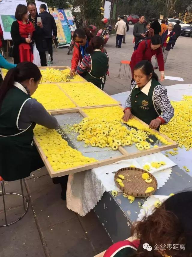 航拍金堂玉皇山,玉皇山登高金堂