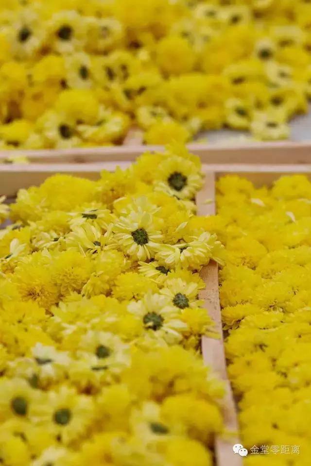 航拍金堂玉皇山,玉皇山登高金堂