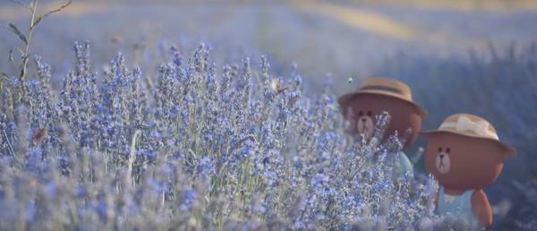 loccitane护肤品怎么样,loccitane的护肤品怎么样