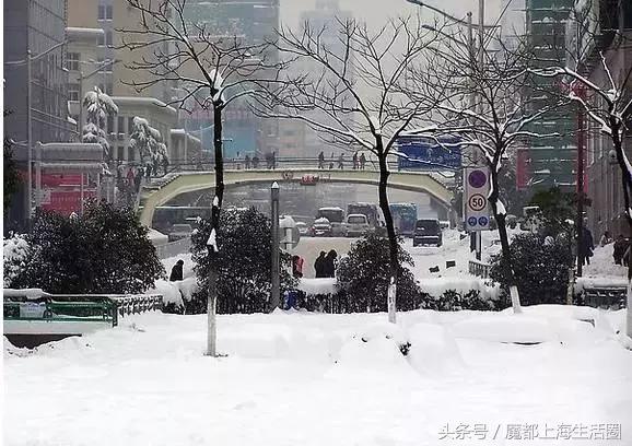 合肥哪下雪了,合肥一定要下雪吗