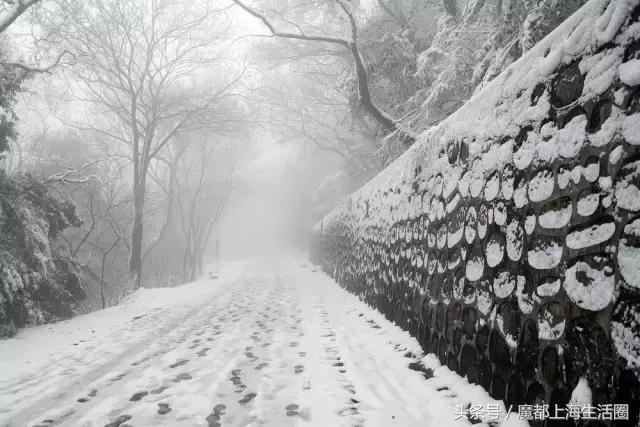 合肥哪下雪了,合肥一定要下雪吗