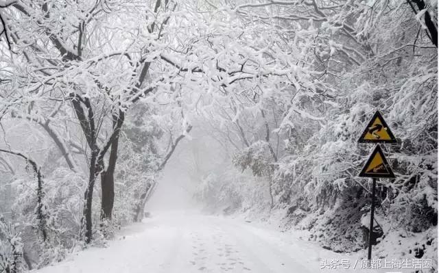合肥哪下雪了,合肥一定要下雪吗