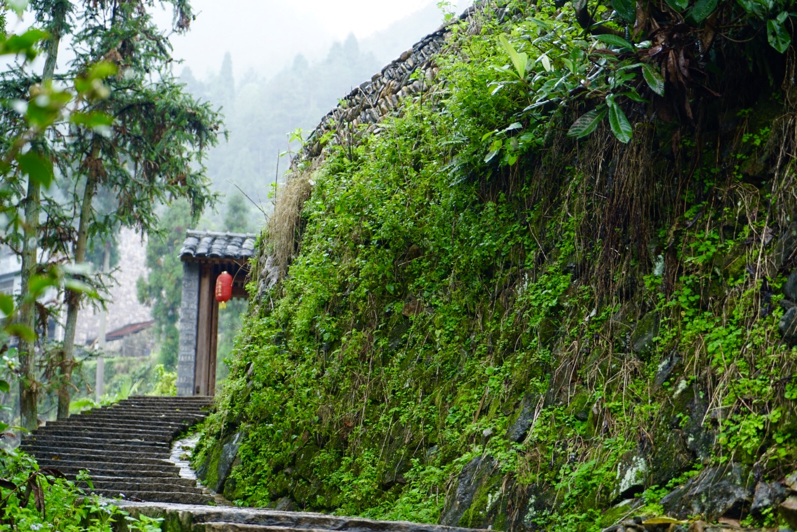 温州三八妇女节好玩的地方,温州三八节活动