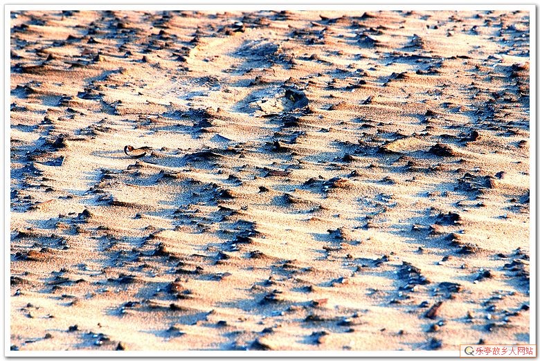 5年前的今天:初冬,如梦如幻的浅水湾(原乐亭辖区)