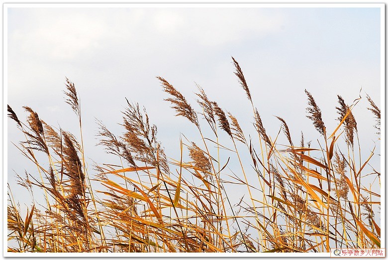 5年前的今天:初冬,如梦如幻的浅水湾(原乐亭辖区)