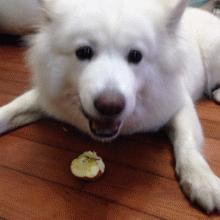 起床后嗓子干痒咳有黏痰,起床后嗓子干疼咳嗽