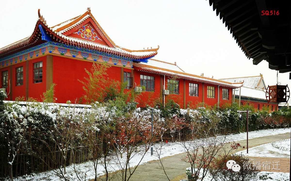 雪中宿迁,素颜都美到窒息!