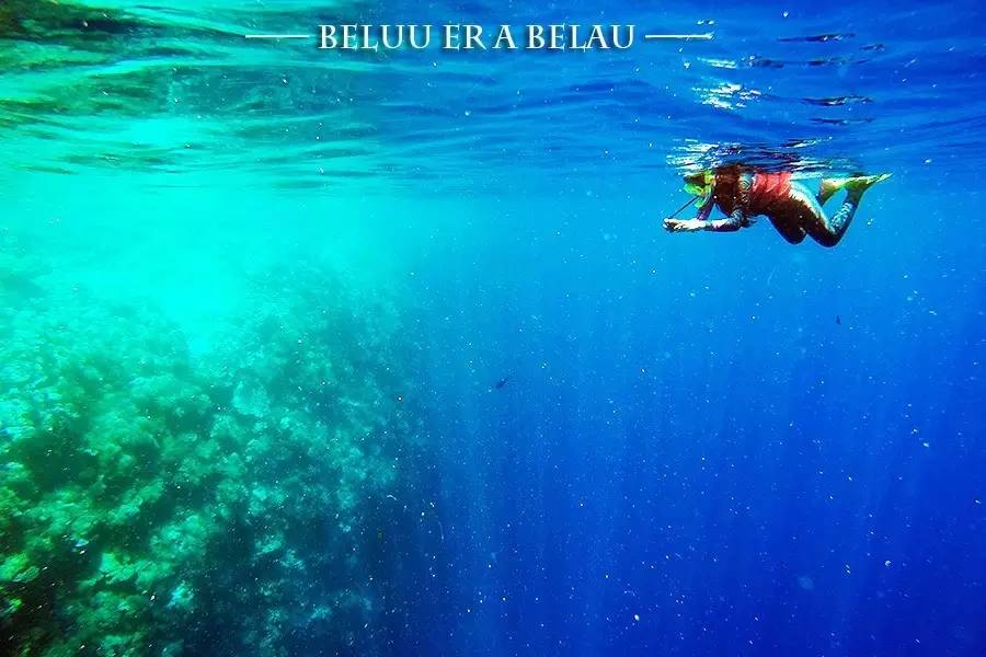 帕劳上帝水族馆介绍,帕劳上帝水族馆攻略