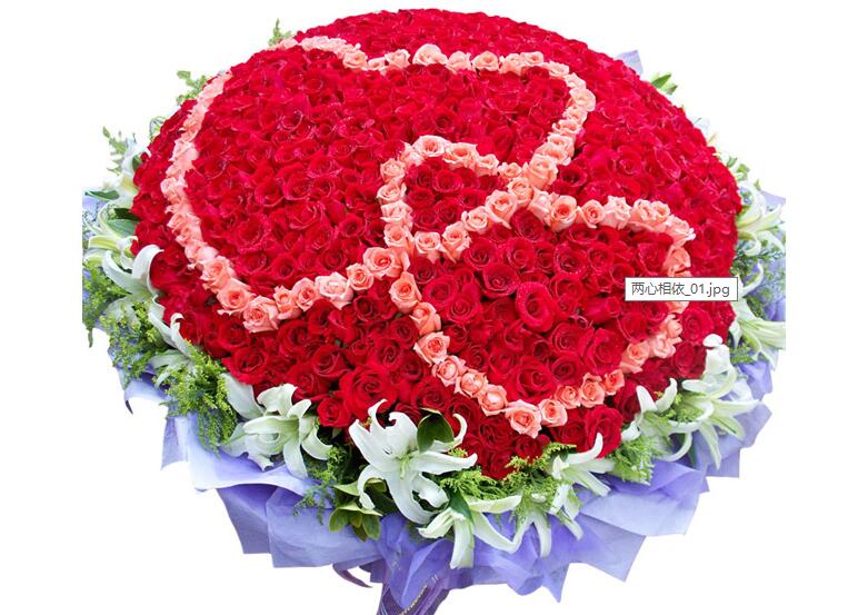 玫瑰花对于女生的意义,你知道不同花的花语是什么吗