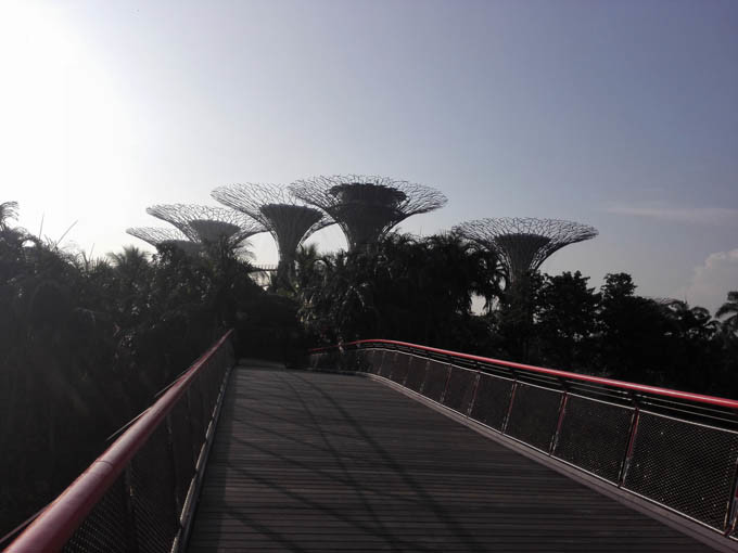 去新加坡,如果你有预算,建议至少去金沙酒店住一晚