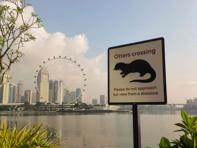 去新加坡,如果你有预算,建议至少去金沙酒店住一晚