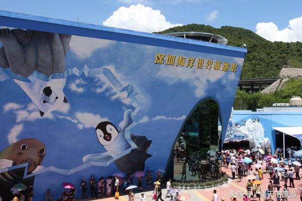 深圳小梅沙海洋世界游乐,深圳小梅沙海洋世界一日游