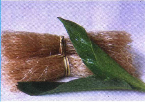 广西马山人的美食,舌尖上的广西灵山县的美食