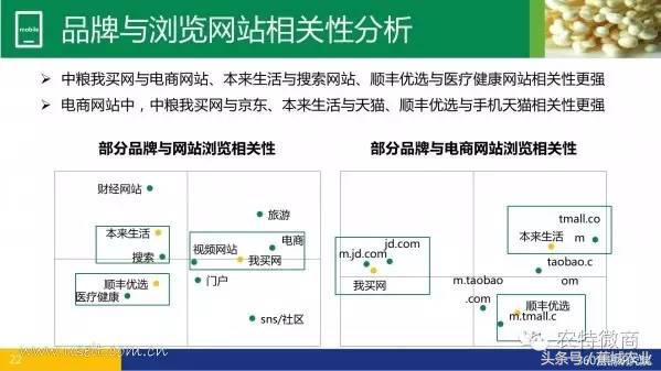 生鲜电商行业市场数据报告,中国生鲜电商发展简报2013年
