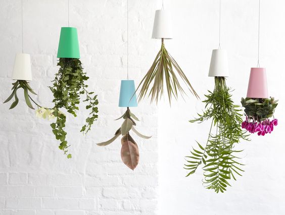 彻底告别植物杀手,告别植物杀手