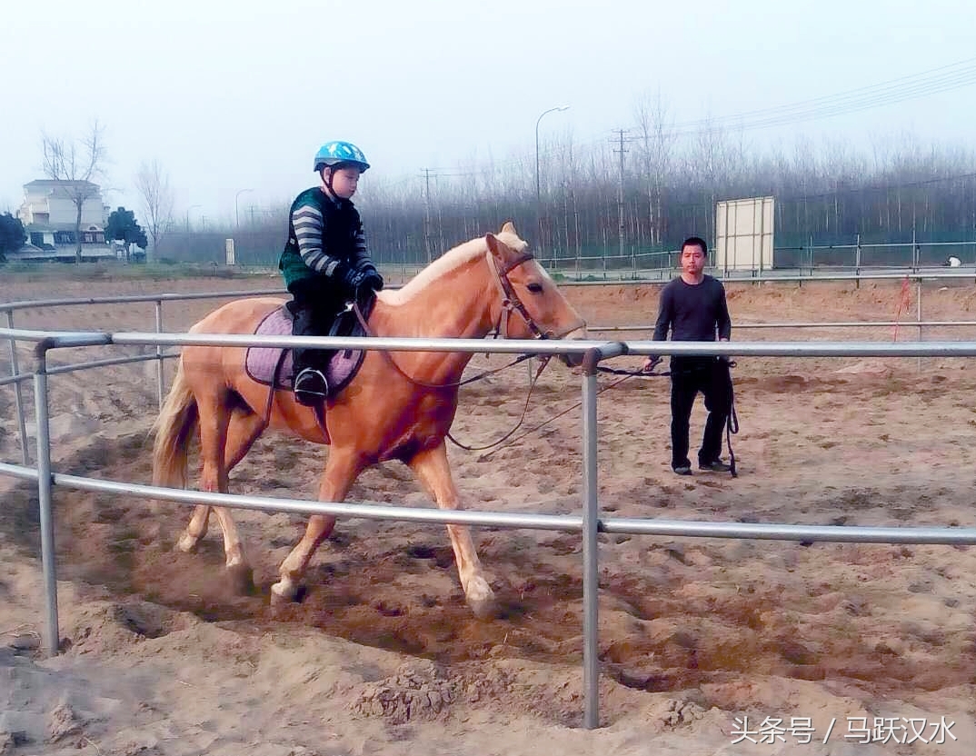 襄阳最小野骑手怎样练成（二）——上马术课