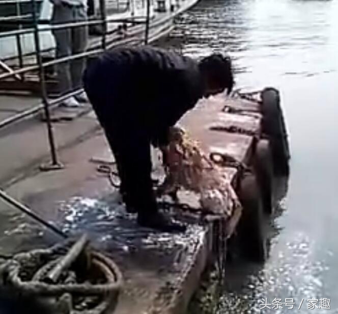 狗狗用洗衣粉洗澡,用洗衣粉给狗狗洗澡