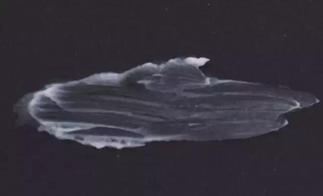 贝嫂最爱的护肤品,好物推荐全网最好用的水乳