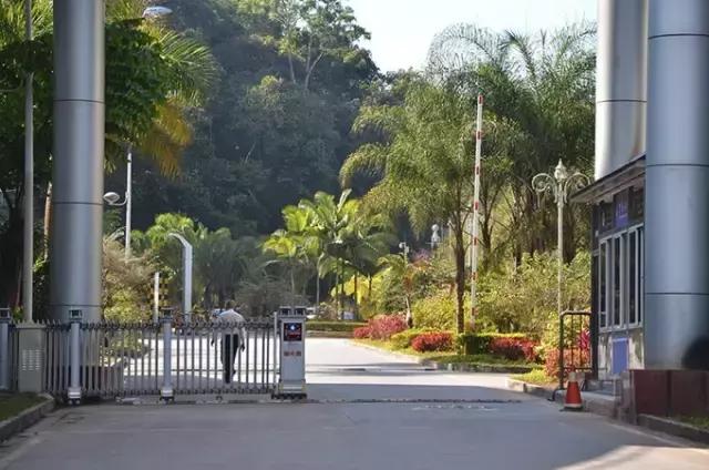 成都自驾曼谷,成都到曼谷机票