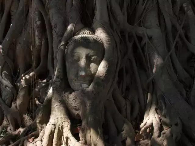 成都自驾曼谷,成都到曼谷机票