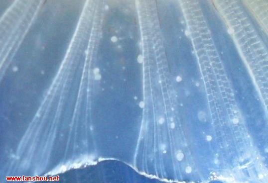 金鱼常见病及防治方法,家养金鱼如何消毒