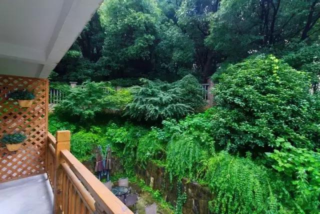 他颠覆我们心中理工男的形象，砸锅卖铁造民宿价格却低的惊人！