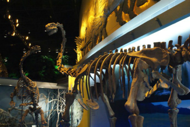 中国十大最好玩的游乐场在哪里,中国十大最值得去的游乐场