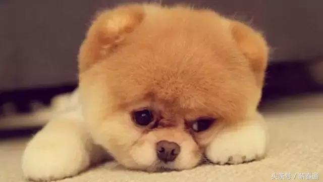 小儿子嫌父亲穷困无知当面辱骂,反被哥哥打脸,干得漂亮!