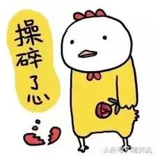 面试率100%简历,面试人的简历都是怎样的