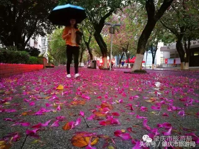 西大下了一场雨，美翻了整个肇庆！