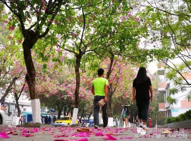 西大下了一场雨，美翻了整个肇庆！