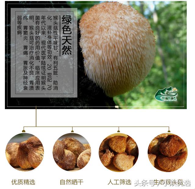 猴头菇推荐店铺,猴头菇的选购