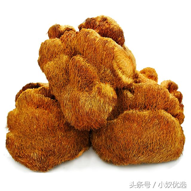 猴头菇推荐店铺,猴头菇的选购