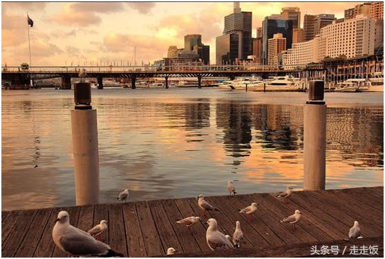 买澳大利亚签证,买澳大利亚的东西在哪买