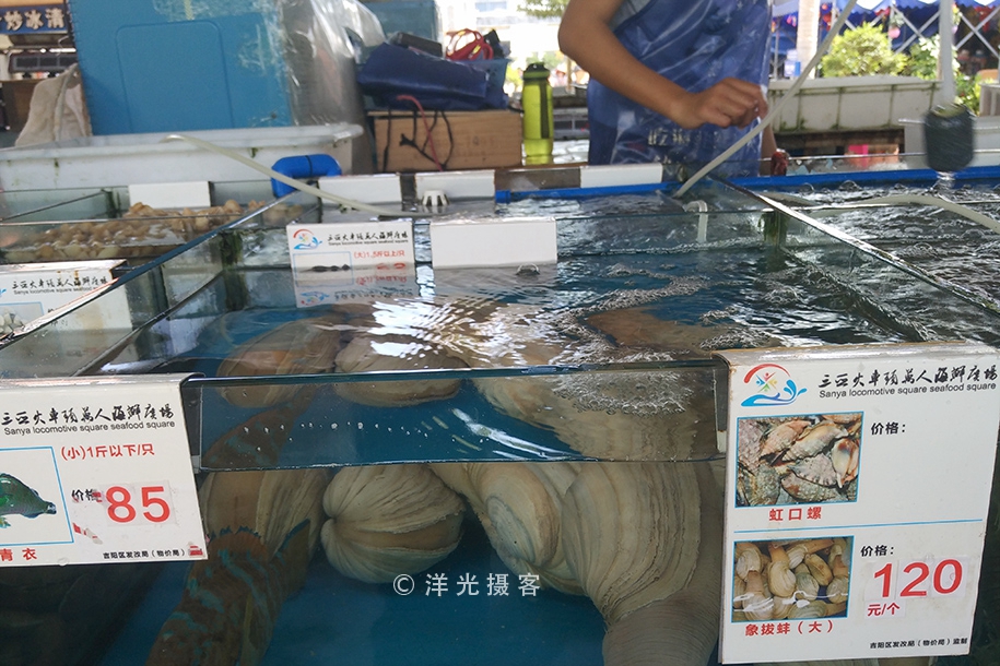 现在的三亚海鲜市场,海鲜市场发现什么东西