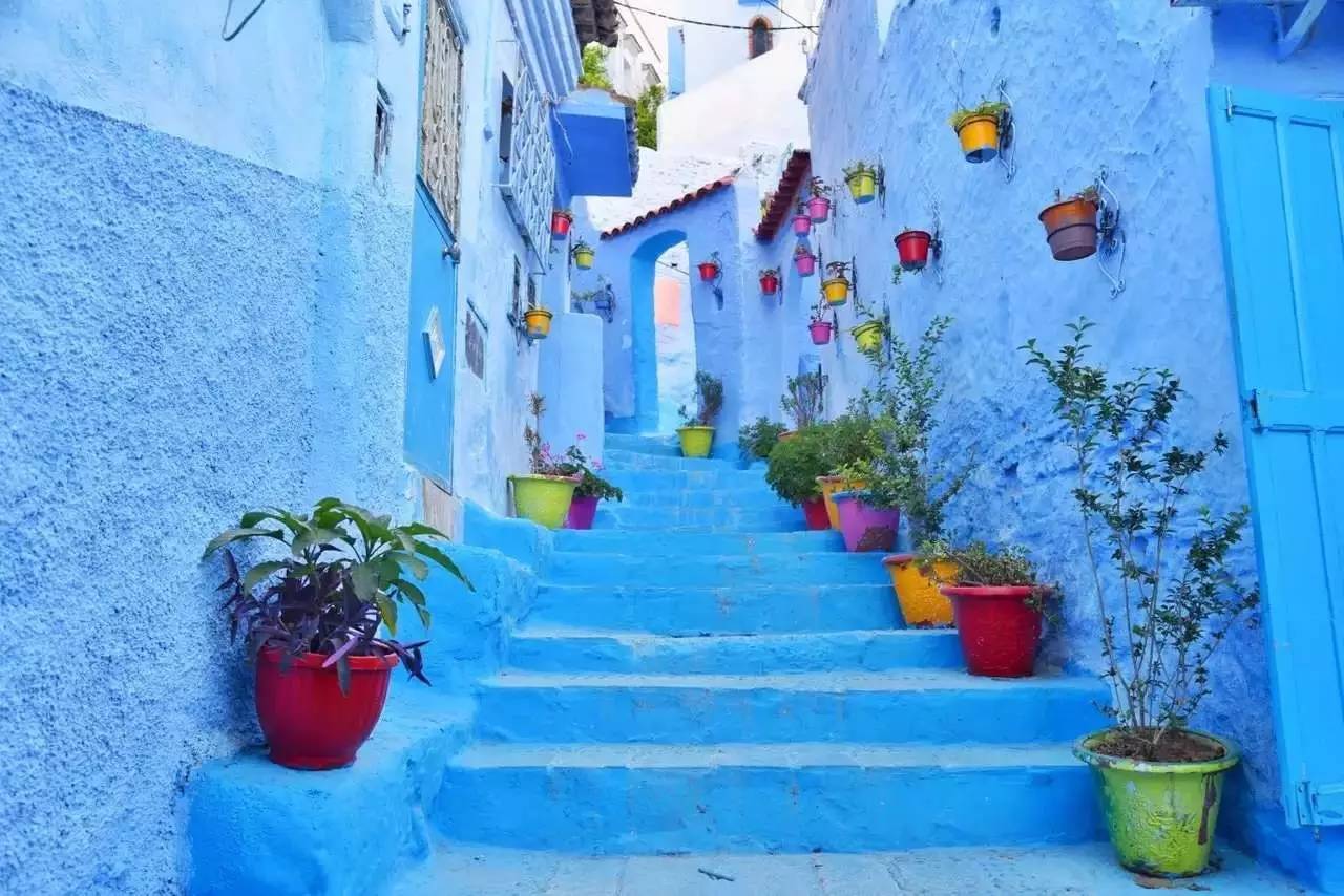 谁在美化美国,谁在美化齐淑芳