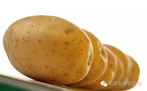 鍚勫浗鐣欏鐢熶紭鍔垮拰鍔e娍,鍚勫浗鐣欏鐢熺浉浜蹭笌鐩哥埍