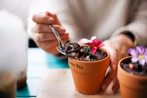 韩国|哪些零食撩妹成功率100%?