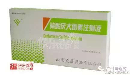 那些你不知道的副业,那些你不知道的观赏鱼