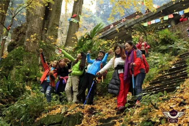 成都春季户外好去处,成都今年最火的地方在哪里