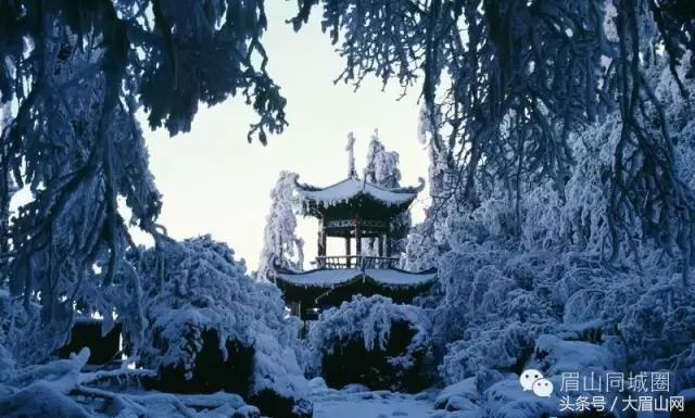 瓦屋山下雪,最近瓦屋山下雪了吗