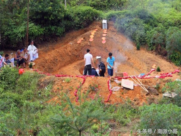 抓蛇要抓蛇的哪个位置,民间禁忌为什么不能打死蛇